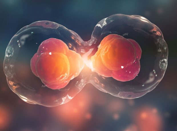 image-shutterstock_1086033464-pic_32ratio_900x600-900x600-76597