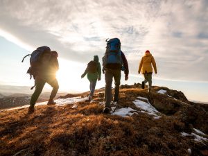 image-shutterstock_1909533559-pic_32ratio_900x600-900x600-94383