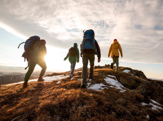 image-shutterstock_1909533559-pic_32ratio_900x600-900x600-94383
