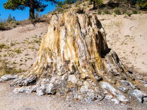 image-shutterstock_296705426-pic_32ratio_900x600-900x600-40796