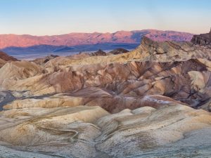 image-shutterstock_790642279-pic_32ratio_1200x800-1200x800-22783