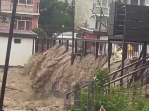 image-snimok-ekrana-2023-07-12-v-08-30-pic_32ratio_1200x800-1200x800-96180-1