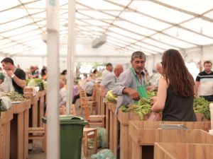 image-txiyigxwubj8k25l7z5wkbssnxyggwa1uwl7h9fg