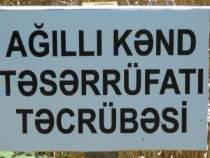 image-zg3iovdn50j5tvhgisjyuekrzqsikgld1epx8c3i