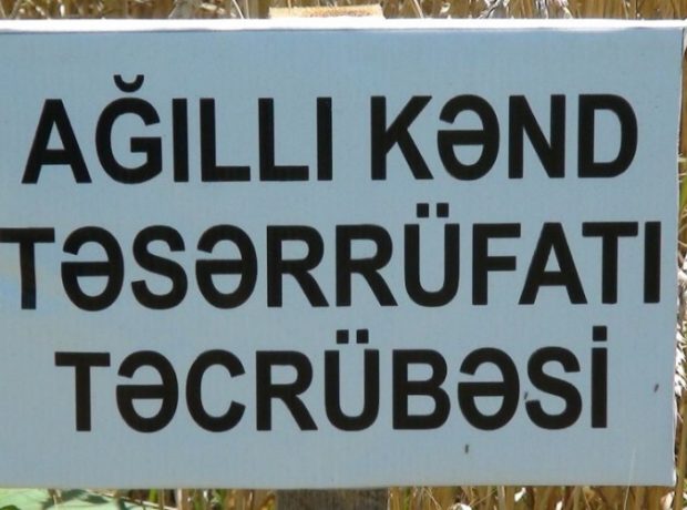 image-zg3iovdn50j5tvhgisjyuekrzqsikgld1epx8c3i