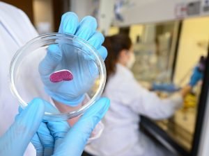 image-20220407_gaf_u39_2755-pic_32ratio_1200x800-1200x800-57002