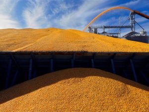 image-ap956609487084-pic_32ratio_900x600-900x600-55521