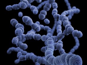 image-cdc-qeu-qgiojka-unsplash-pic_32ratio_900x600-900x600-4635