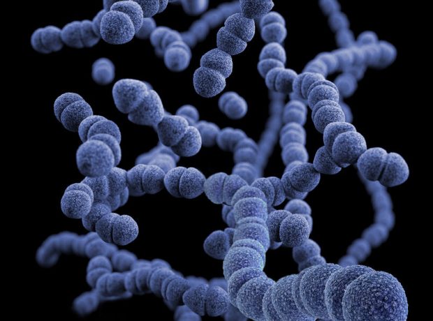 image-cdc-qeu-qgiojka-unsplash-pic_32ratio_900x600-900x600-4635