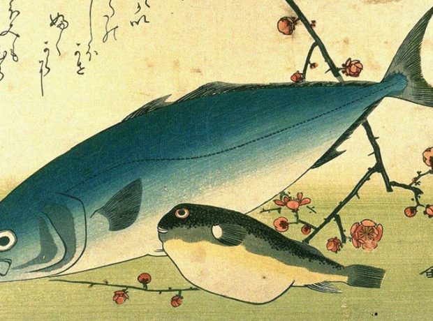 image-hiroshige_a_shoal_of_fishes_fugu_yellowtail-pic905-895x505-83446