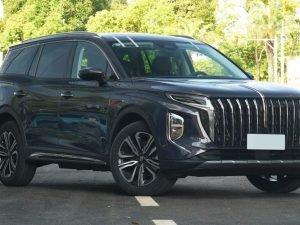 image-hongqi-hs7-hit-pre-sales-in-china-cnc-pic_32ratio_1200x800-1200x800-1960