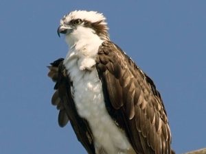 image-image-2022-10-21-19-11-56-pic_32ratio_900x600-900x600-27474