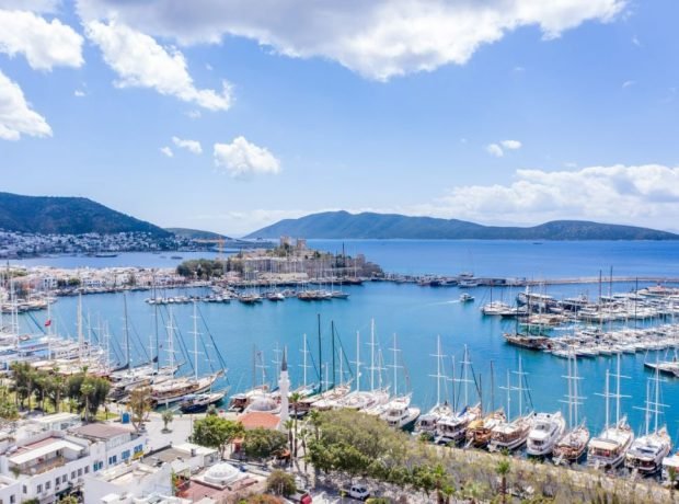 image-img-20230810-wa0032