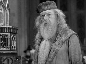 image-1478680561-pic_32ratio_900x600-900x600-99758