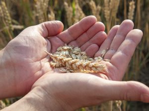 image-20-pic_32ratio_1200x800-1200x800-13782