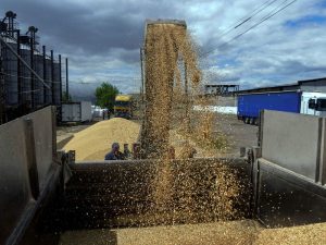 image-2023-03-20t170453z_1890977452_rc2nxu9nm408_rtrmadp_3_ukraine-crisis-harvest-pic_32ratio_900x600-900x600-12917