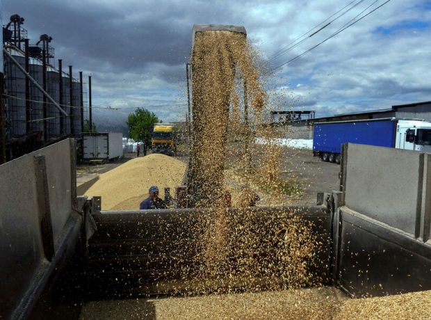 image-2023-03-20t170453z_1890977452_rc2nxu9nm408_rtrmadp_3_ukraine-crisis-harvest-pic_32ratio_900x600-900x600-12917