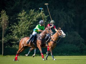 image-375692619_1354425828478358_4896882989210327819_n