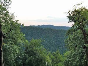 image-6506b47cb26d76506b47cb26d816949382366506b47cb26d56506b47cb26d6