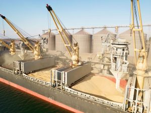 image-shutterstock_2173207273-pic_32ratio_900x600-900x600-62102