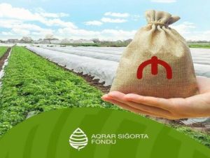 image-1698389813_odenisler_sekil_2-1