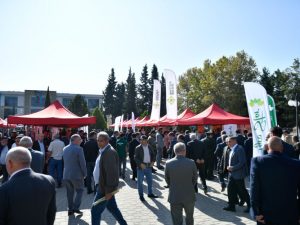 image-a303pbe4k62khfqyq6yxzwn3g9xj0drfr1lv54zj