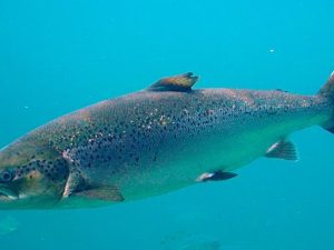 image-olympus-digital-camera