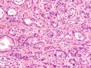 image-shutterstock_639636403-pic_32ratio_900x600-900x600-75109