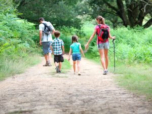 image-upload-shutterstock_147171224-pic_32ratio_1200x800-1200x800-40182