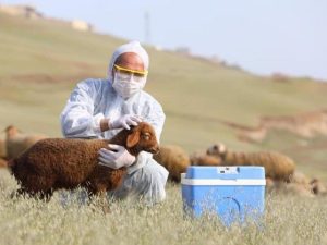 image-vh1qhprqr3nhhdextbsfmzb3b4iafaffu8rbxvbh