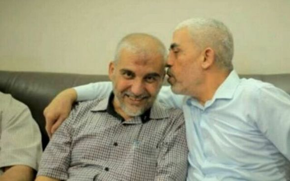 image-ahmed-ghandour-640x400
