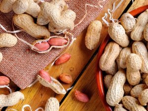 image-depositphotos_69964621_l-2015-pic905-895x505-50417