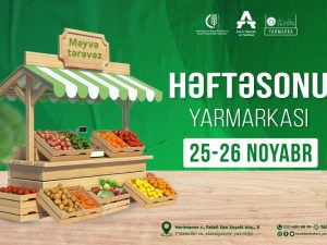 image-h4mdwobfj3gnif8hguqvisynefelktof18wo0t6d