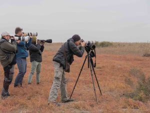 image-img-20231114-wa0027