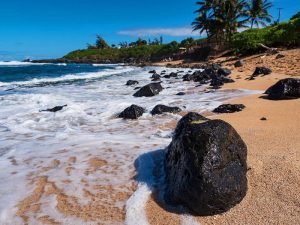 image-pexels-james-wheeler-3938947-pic_32ratio_900x600-900x600-1348