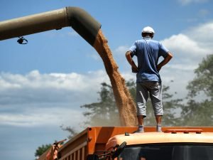 image-ria_8235195-pic_32ratio_1200x800-1200x800-90743