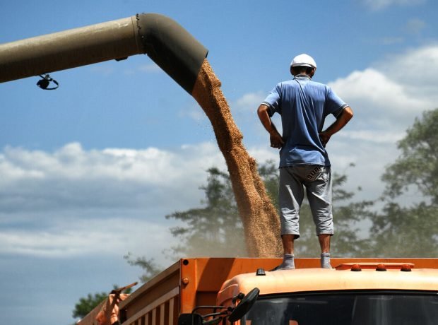 image-ria_8235195-pic_32ratio_1200x800-1200x800-90743