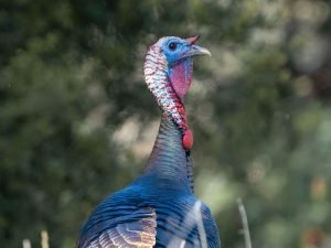 image-y-s-e_eypwknsgc-unsplash-pic_32ratio_900x600-900x600-12832