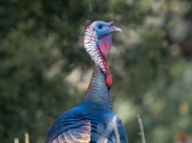 image-y-s-e_eypwknsgc-unsplash-pic_32ratio_900x600-900x600-12832