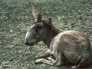 image-20140119_gaf_ux5_140-pic_32ratio_900x600-900x600-53873-1