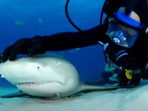 image-65453-pic_32ratio_900x600-900x600-58134