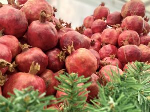 image-colfhmxgfx4scynoaybay6sv3bhppolak26szjzd