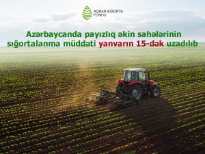 image-img-20231222-wa0012