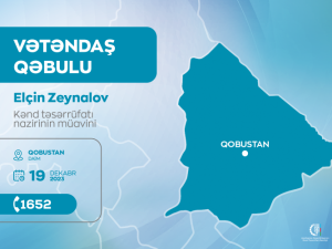 image-qun09cy8bcklszrt6gaaikppayvcl3fz1bottu41