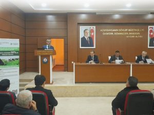 image-r6i6rvyqns886rujwrkhnr99h7kj9qzfandbinti