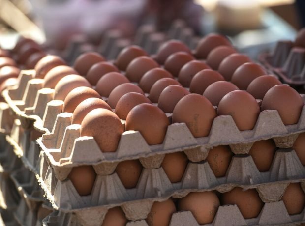 image-ria_8287682-pic_32ratio_900x600-900x600-87769