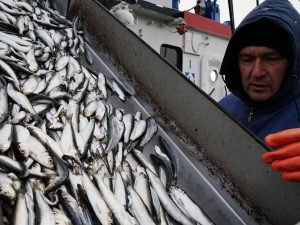 image-rian_2570404-hr-pic905-895x505-28165