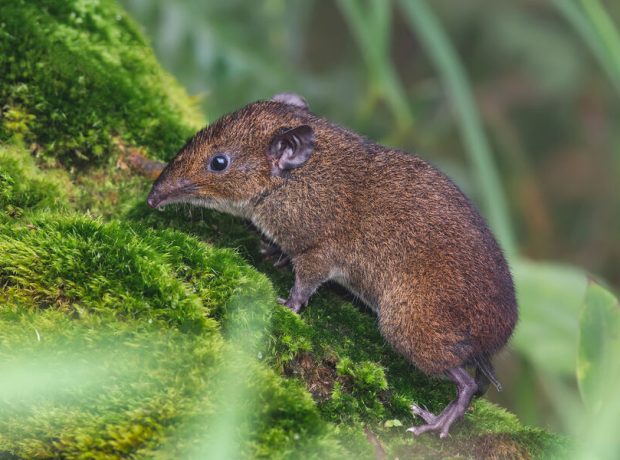 image-shutterstock_1483375214-pic_32ratio_900x600-900x600-71325