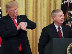 image-upload-rtx77nm6-pic905-895x505-96039