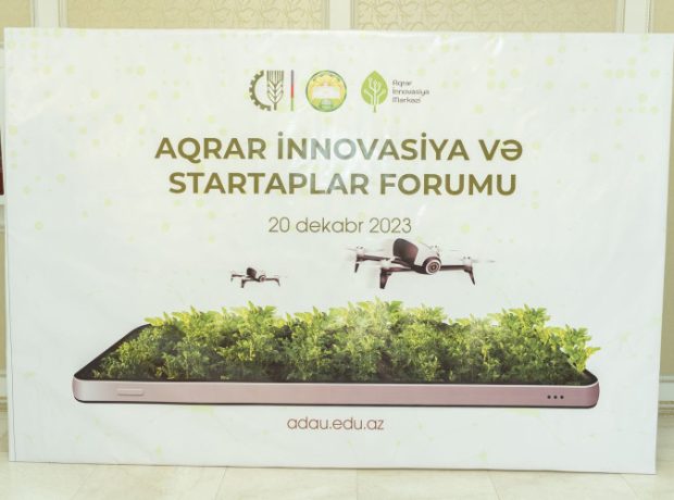 image-vgxe0fq0lqsvctxhqlrvjc06kaznatr7vrwczluo